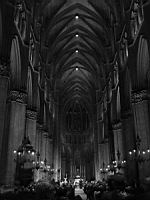 Reims, Cathedrale, Nef (2)